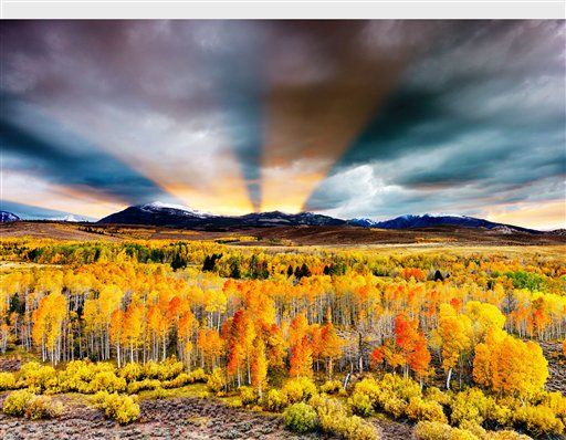 JEFF MITCHUM GALLERIES LANDSCAPE MASTERPIECE